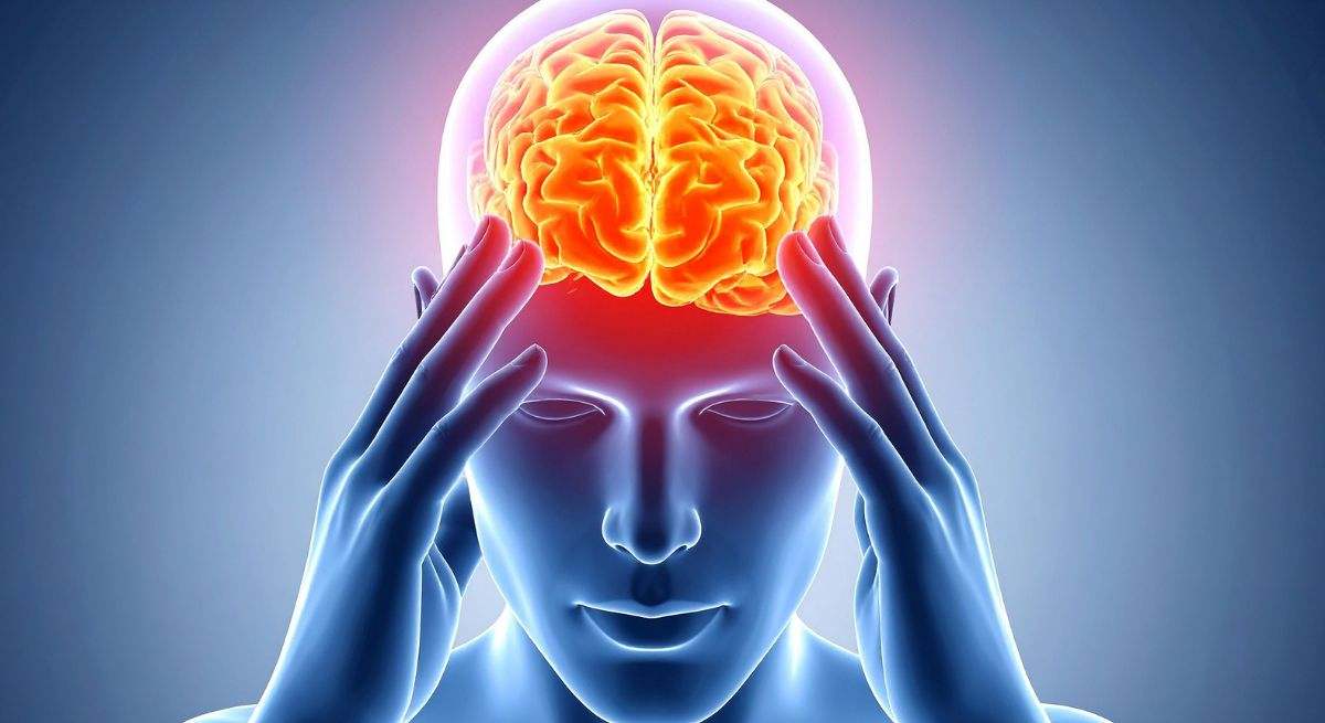 cerebro-humano